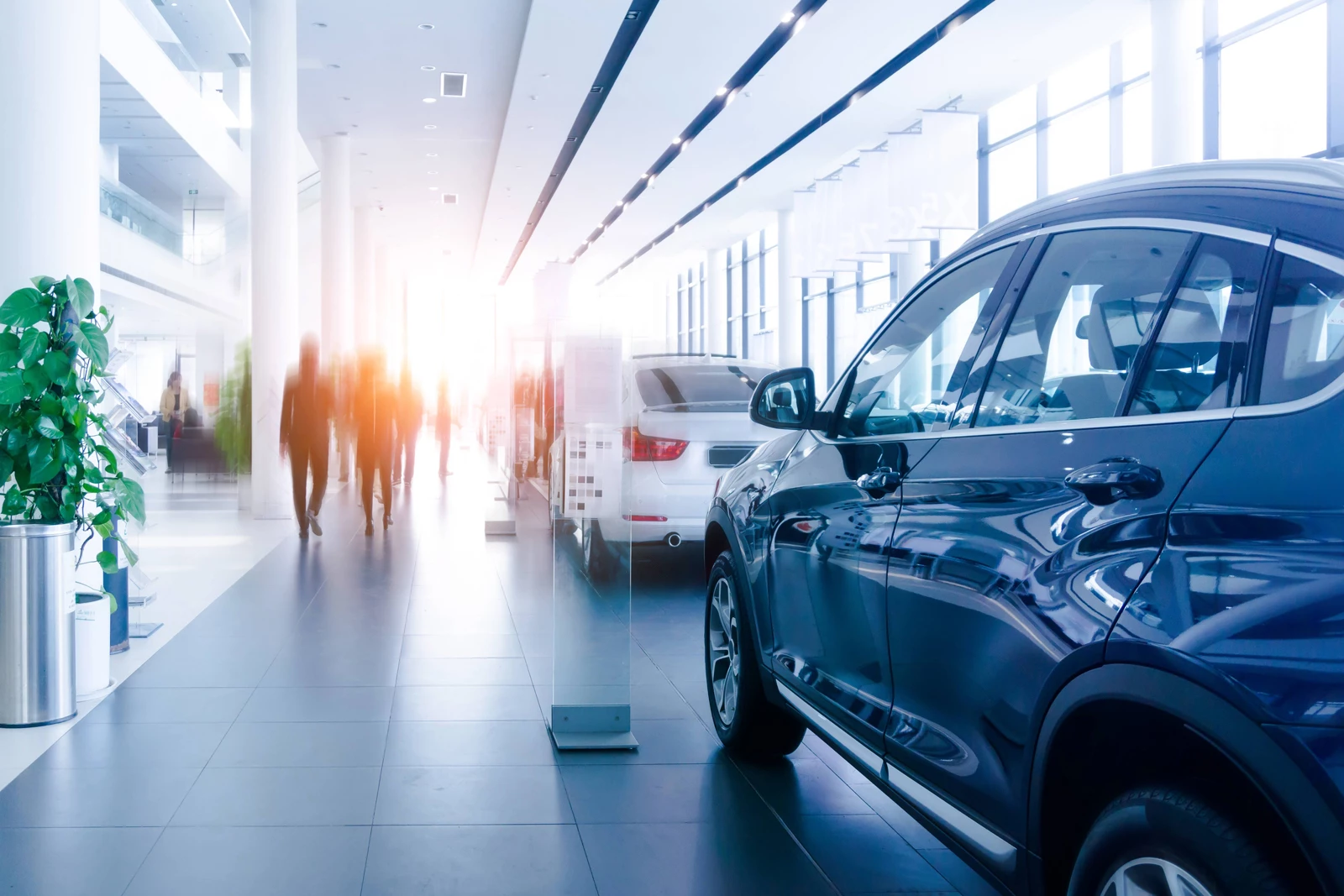 A car dealership with new cars lining the showroom