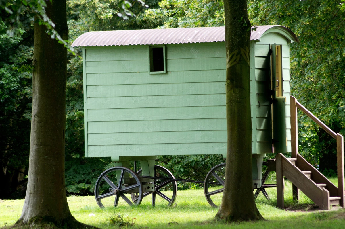 A green shepherd hut on wheels behind a few trees in a woodland