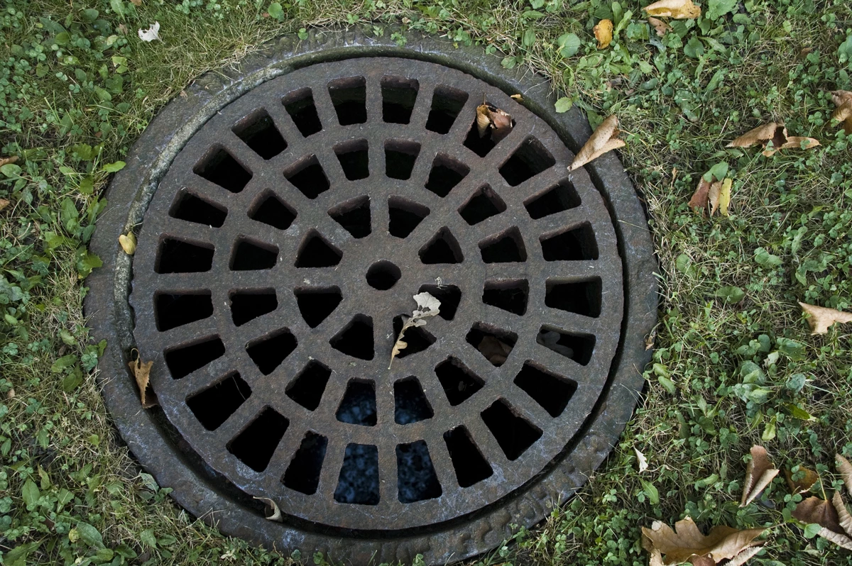 A cover to a storm drain in a grass garden