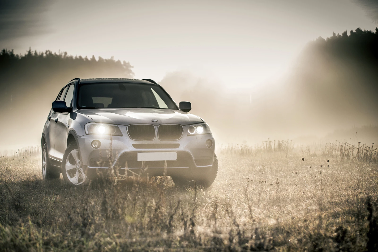 A silver SUV driving off road in foggy conditions