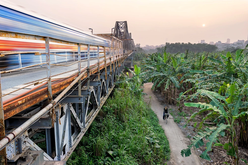 A large steel bridge stretching into the sunset with thick greenery below