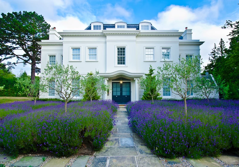 A large high net-worth house with purple flowers in the front garden