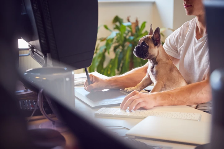 should-you-let-staff-bring-their-dogs-into-the-office.jpg