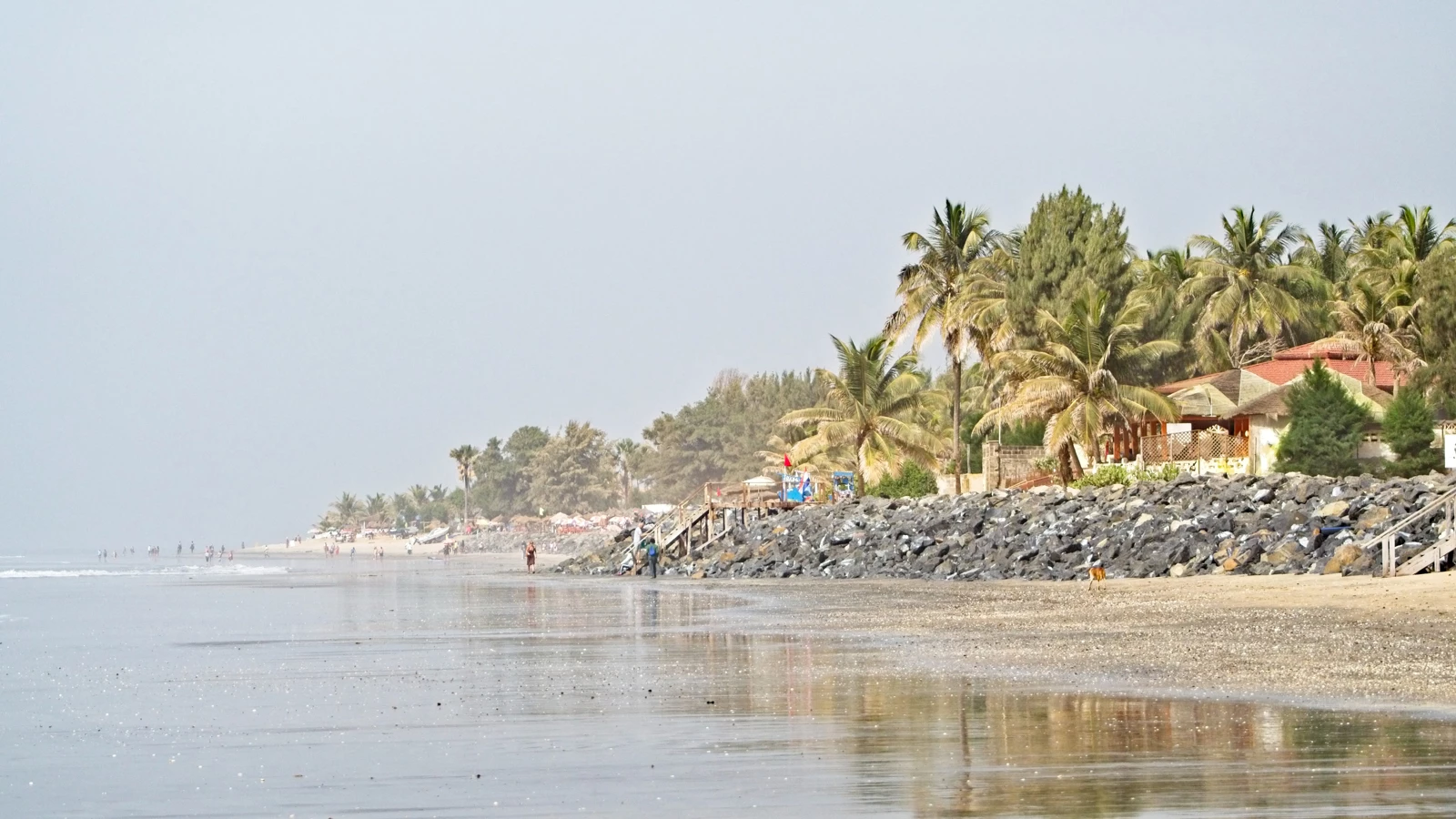 A view along the coastline of The Gambia littered with palm trees on a cloudy day