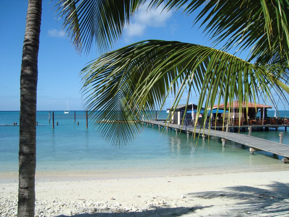 A sandy beach on Aruba looking out to see with a dock behind some palm trees