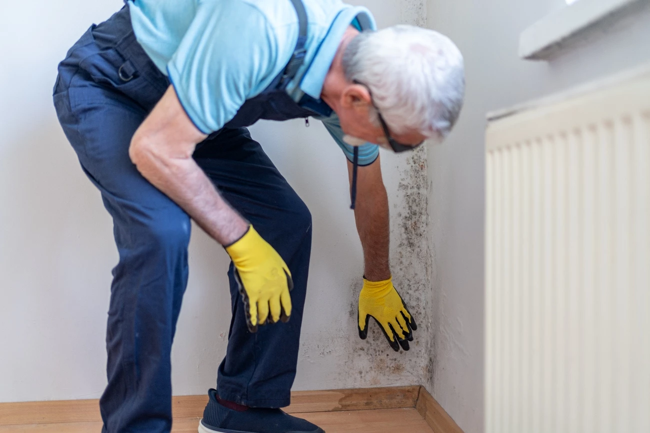 Man Checking Damp On A Wall