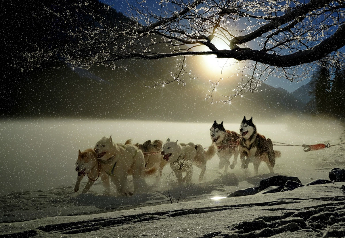 A team huskies pulling a sled through the snow on a sunny day