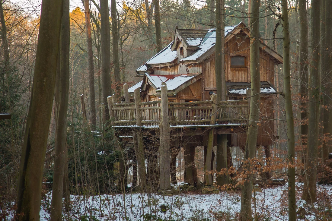 A tree house built on a number of trees in the middle of a forest