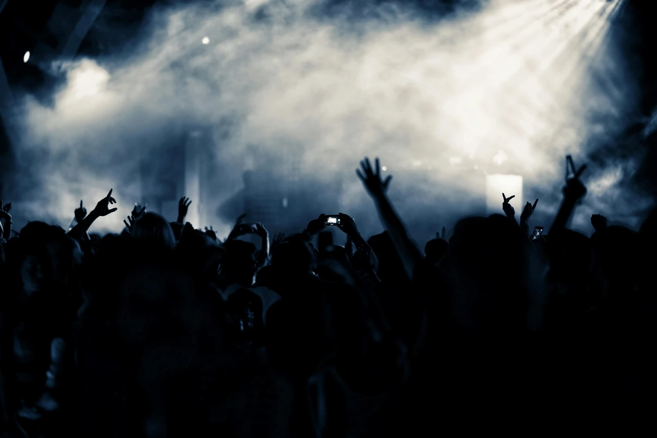 Party In A Nightclub