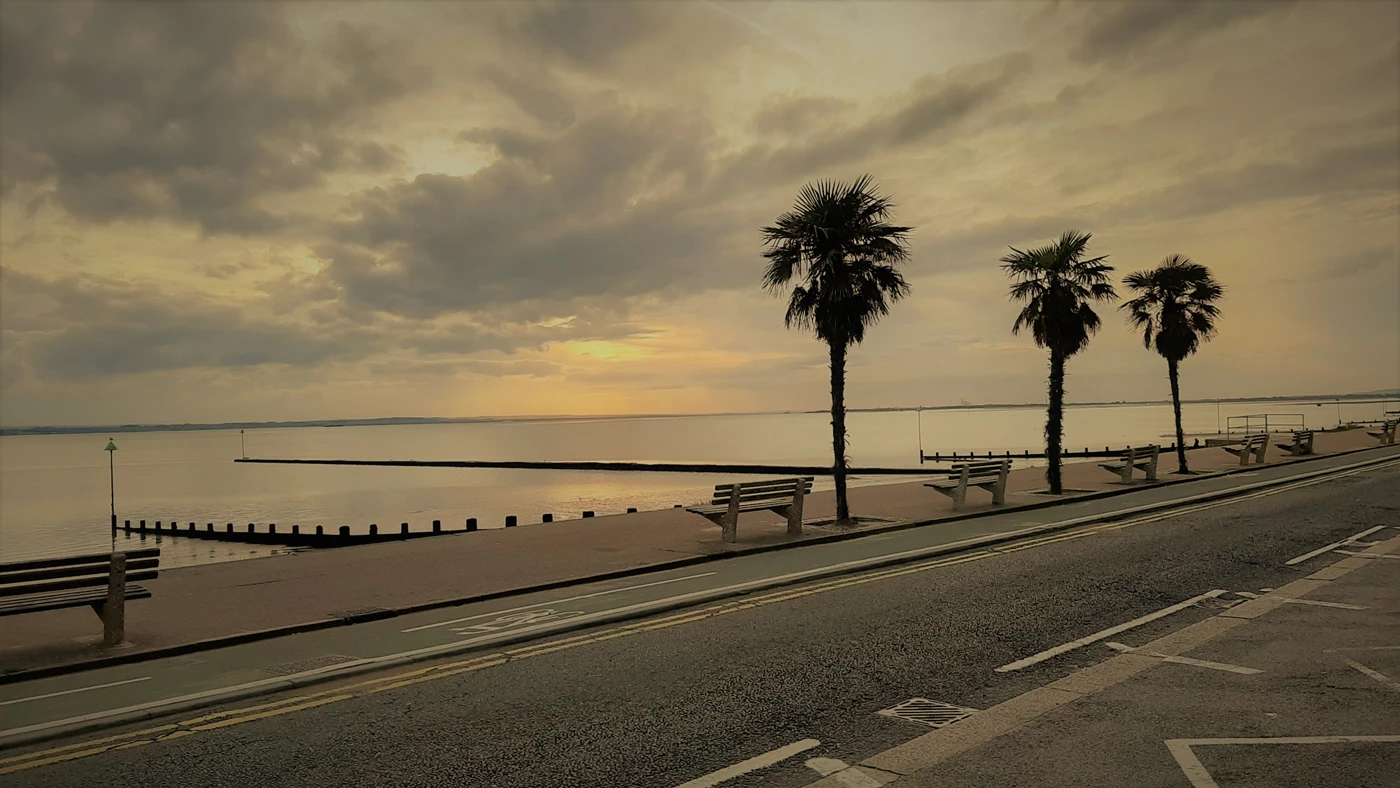 The sea front at Southend-on-sea at dusk with palm trees lining a coastal road 