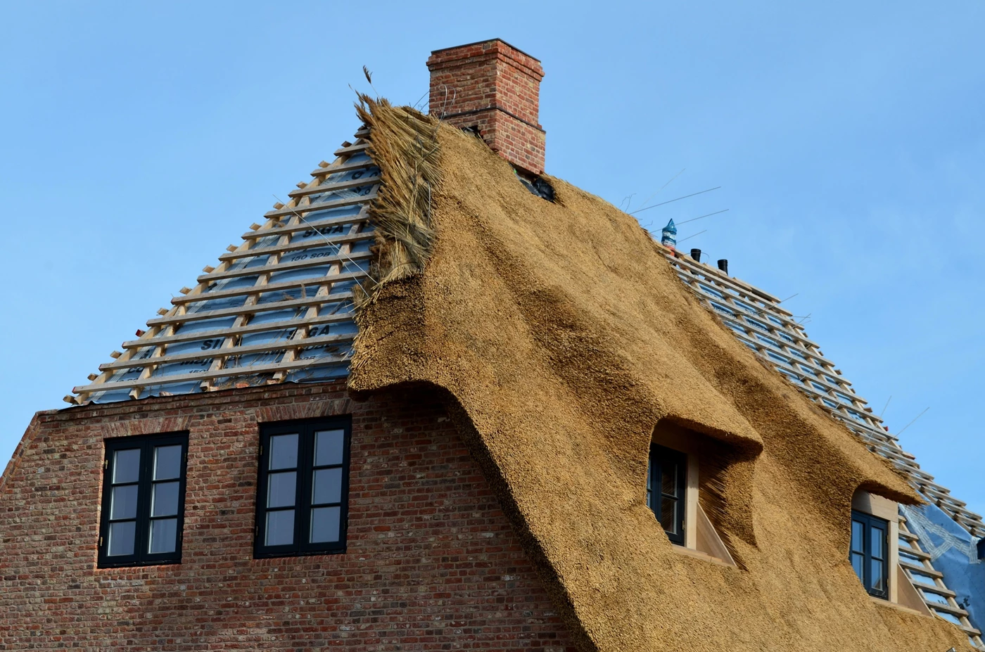 A thatched roof being repaired with the rafters showing on one side 