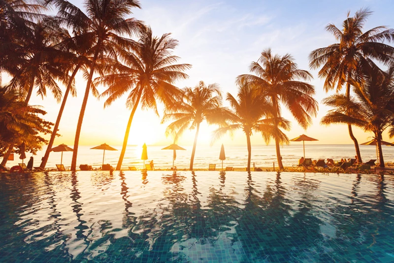 A pool in front of a row of palm trees with the sun setting over the sea behind