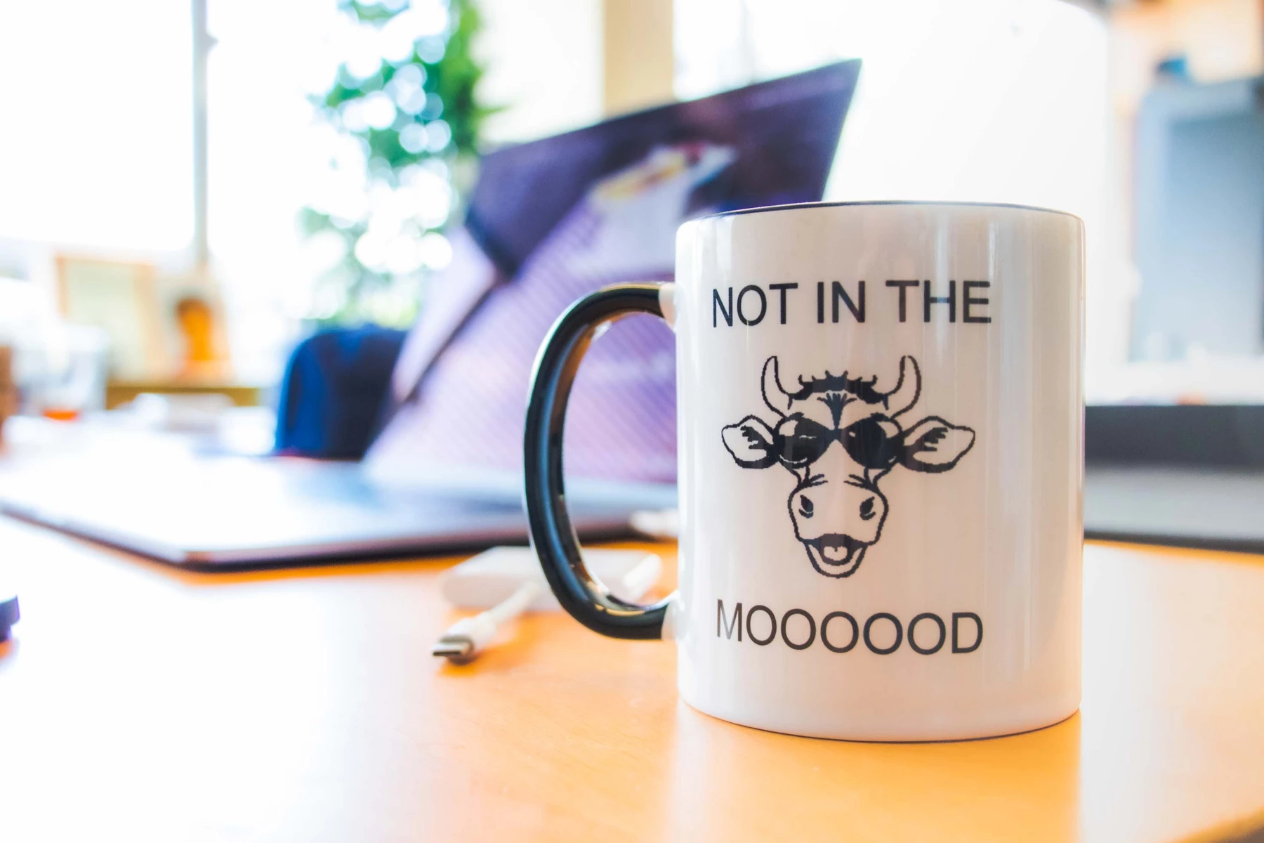 A humorous coffee cup on a desk 